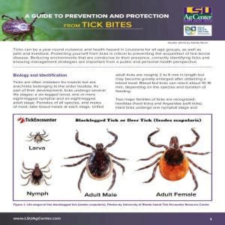 A Guide To Prevention And Protection
