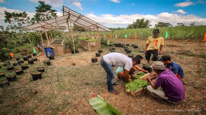 A Journey Into Sustainable Agriculture And Community