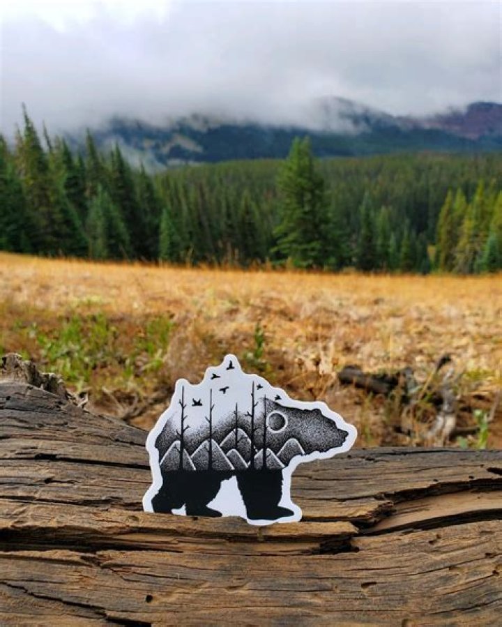 Unlock The Power Of Stickers Northwest Inc.: Discoveries And Insights