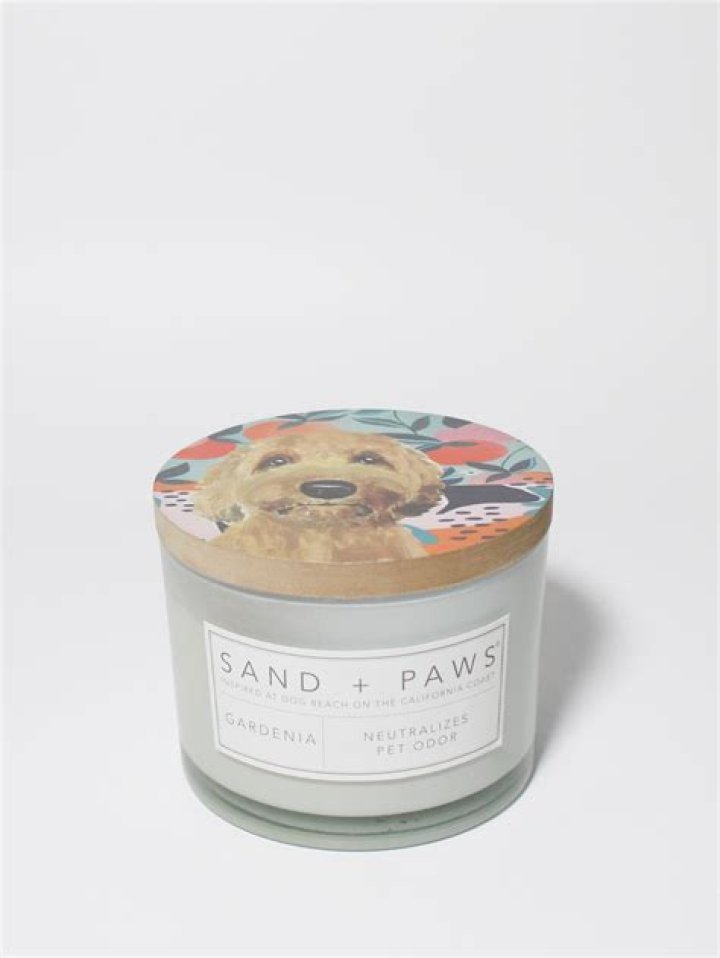 Unveiling The Enchanting World Of Sand And Paws Candles