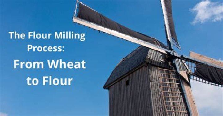 Unveiling The Secrets Of Lovely Miller: Unlocking Flour Milling Excellence
